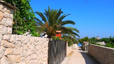 Appartement de vacances /en/au sevid (Splitsko-Dalmatinska)ou appartement ou maison de vacances