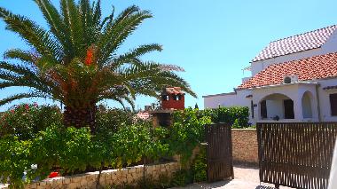 Appartement de vacances /en/au sevid (Splitsko-Dalmatinska)ou appartement ou maison de vacances