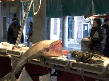 Appartement de vacances �/en/au Venezia (Venezia)ou appartement ou maison de vacances