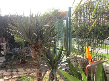 Appartement de vacances /en/au Nard (Lecce)ou appartement ou maison de vacances