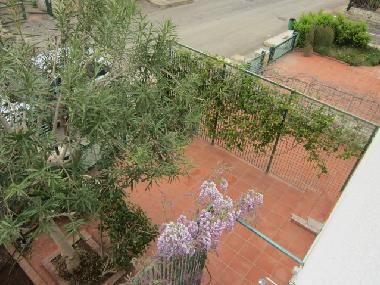 Le jardin avec douche