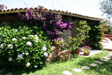 Maison de vacances /en/au Abbiadori (Olbia-Tempio)ou appartement ou maison de vacances
