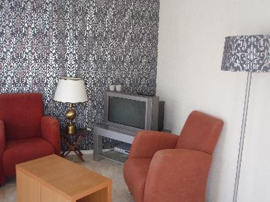 Maison de vacances /en/au Petten (Noord-Holland)ou appartement ou maison de vacances