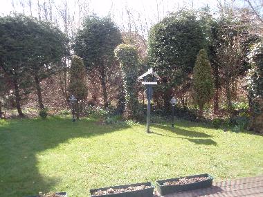 Maison de vacances /en/au Petten (Noord-Holland)ou appartement ou maison de vacances