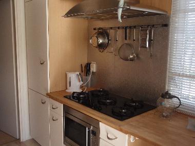 Maison de vacances /en/au Petten (Noord-Holland)ou appartement ou maison de vacances