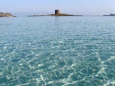 Appartement de vacances /en/au Trinita D Agultu (Olbia-Tempio)ou appartement ou maison de vacances