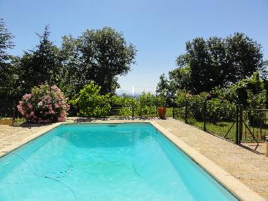 Piscine scurise 9mx4,5m au milieu du jardin