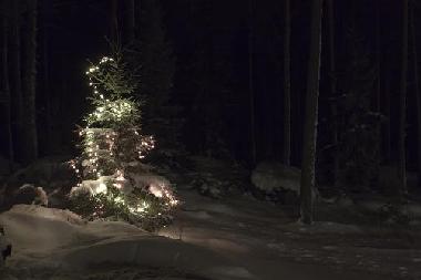 Maison de vacances �/en/au J�ms� (Lansi-Suomen Laani)ou appartement ou maison de vacances