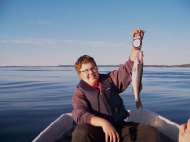 Maison de vacances �/en/au J�ms� (Lansi-Suomen Laani)ou appartement ou maison de vacances