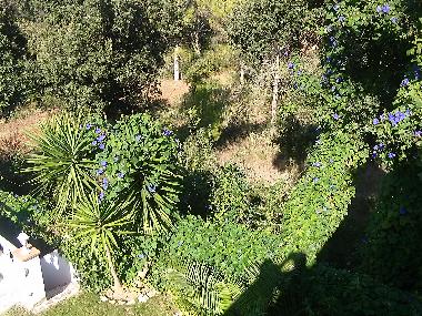 Maison de vacances /en/au Pals (Girona)ou appartement ou maison de vacances