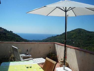 Toiture-Terrasse