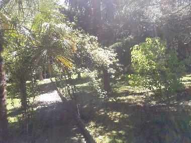 Maison de vacances �/en/au Gaillac-Toulza (Haute-Garonne)ou appartement ou maison de vacances