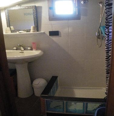 Salle de bain avec duche et toilette