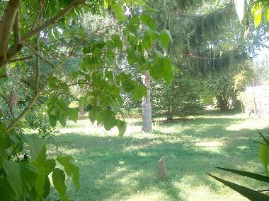 Maison de vacances �/en/au Gaillac-Toulza (Haute-Garonne)ou appartement ou maison de vacances