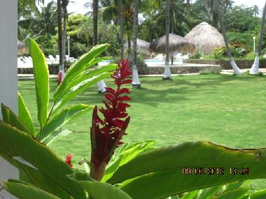 Appartement de vacances �/en/au SAN ANDRES  (Atlantico)ou appartement ou maison de vacances