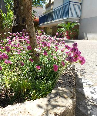 Appartement de vacances /en/au Scauri (Latina)ou appartement ou maison de vacances