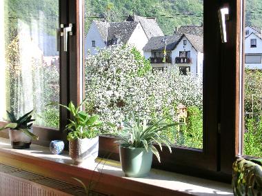 Appartement de vacances /en/au Burgen (Mosel - Saar)ou appartement ou maison de vacances