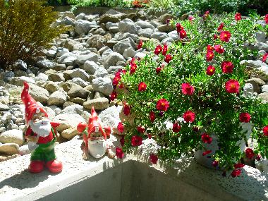 Appartement de vacances �/en/au Rickenbach SZ (Vierwaldst�ttersee)ou appartement ou maison de vacances