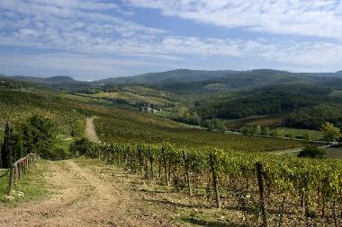 Maison de vacances �/en/au Montalcino (Siena)ou appartement ou maison de vacances