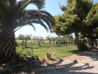 Maison de vacances �/en/au Porto Sant