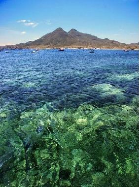 Maison de vacances /en/au Aguamarga Agua Amarga (Almera)ou appartement ou maison de vacances