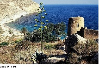 Maison de vacances /en/au Aguamarga Agua Amarga (Almera)ou appartement ou maison de vacances