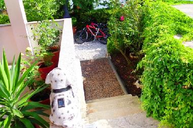 Appartement de vacances �/en/au Arbanija (Splitsko-Dalmatinska)ou appartement ou maison de vacances
