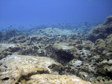 Maison de vacances /en/au Paralimni (Famagusta)ou appartement ou maison de vacances