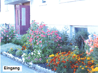 Appartement de vacances �/en/au �sse Dorf (Laanemaa)ou appartement ou maison de vacances