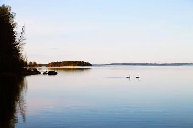 Maison de vacances �/en/au J�ms� (Lansi-Suomen Laani)ou appartement ou maison de vacances