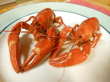 Maison de vacances �/en/au J�ms� (Lansi-Suomen Laani)ou appartement ou maison de vacances