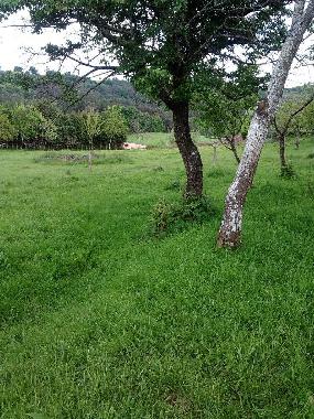 Maison de vacances /en/au Silleda (Pontevedra)ou appartement ou maison de vacances