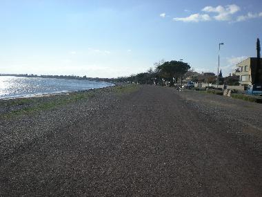 Promenade de la belle Scribote