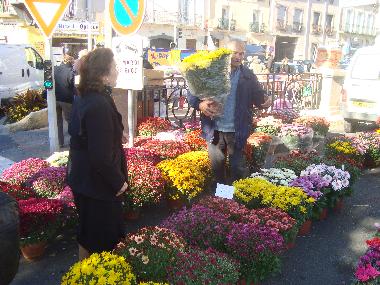 Market in Marseillan