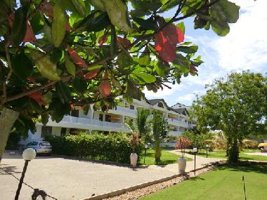Appartement de vacances �/en/au Diani (Coast)ou appartement ou maison de vacances