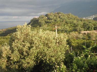 Chambre avec petit djeuner /en/au Dhermi (Vlore)ou appartement ou maison de vacances