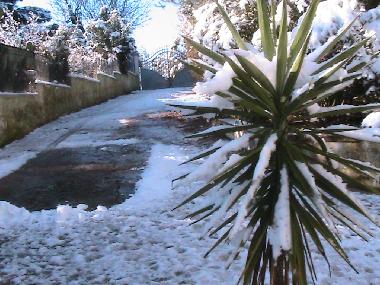 Maison de vacances �/en/au Ceglie Messapica (Taranto)ou appartement ou maison de vacances