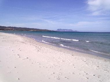 Appartement de vacances �/en/au tanaunella (Olbia-Tempio)ou appartement ou maison de vacances