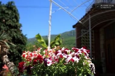 Chambre avec petit d�jeuner �/en/au pestani (Ohrid)ou appartement ou maison de vacances