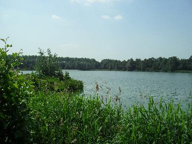 Chalet /en/au Heinkenszand (Zeeland)ou appartement ou maison de vacances