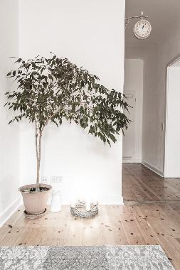 Appartement de vacances �/en/au Berlin (Treptow)ou appartement ou maison de vacances