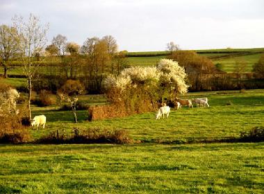 Maison de vacances /en/au Chiddes (Sane-et-Loire)ou appartement ou maison de vacances