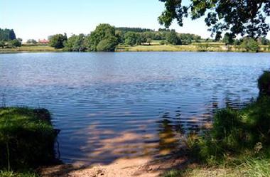 Maison de vacances /en/au Chiddes (Sane-et-Loire)ou appartement ou maison de vacances