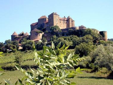 Maison de vacances /en/au Chiddes (Sane-et-Loire)ou appartement ou maison de vacances