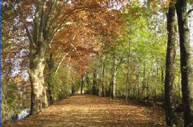 Maison de vacances /en/au Chiddes (Sane-et-Loire)ou appartement ou maison de vacances