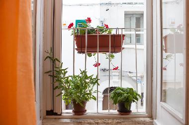 Maison de vacances /en/au Monopoli (Bari)ou appartement ou maison de vacances