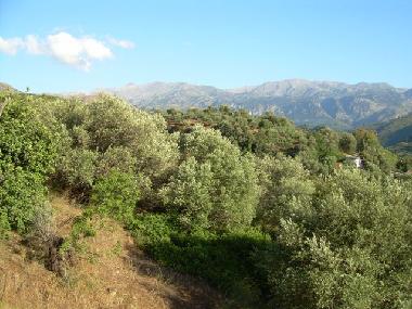 Villa /en/au Chania (Chania)ou appartement ou maison de vacances