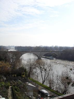 vue de la terrasse, pniche, canards, sygnes