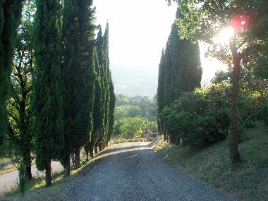 Villa /en/au Fermignano (Pesaro e Urbino)ou appartement ou maison de vacances