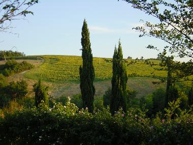 Villa /en/au Fermignano (Pesaro e Urbino)ou appartement ou maison de vacances